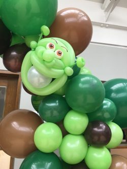 Shrek themed party ideas